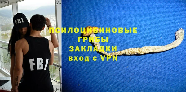 молекула духа Наволоки