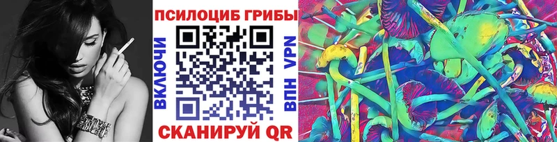 Псилоцибиновые грибы Cubensis  Купить  Козьмодемьянск 